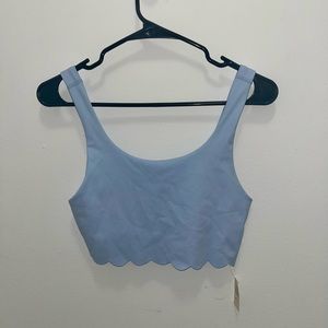 Aerie Scalloped Crop Top